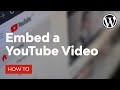 How to Embed a YouTube Video in WordPress