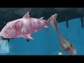 Hungry Shark Evolution Ice Shark Android Gameplay #18