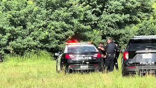 DWI driver hits Springfield Police car