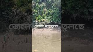 জেলেরা জাল তুলছে@BangladeshiFishermanvlog #shortvideo #trendingshorts #shorts #মাছধরা #villagefishing