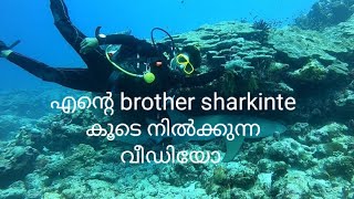 എന്റെ brother sharkinte കൂടെ ഉള്ള വീഡിയോ 🐬🐬🐬🐬🐬🐬