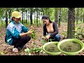 The Way Cambodian People Make Jelly From Wild Vine You Never Know