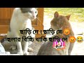 ছাড়ি দে ছলার বিচ্চী থাকি 😂😂😂 #funnybangladubbing #mr_suhal06 #bangladubbingvideo