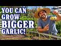 What You Need To Know About Growing Garlic | Part 2: Planting