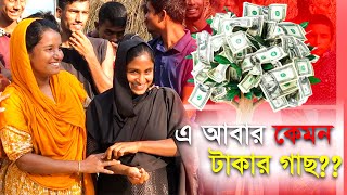 The SHOCKING Truth About Getting Rich with টাকার গাছ