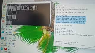 LOOPBACK COMMAND, ROUTER OSPF COMMAND