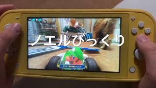 マリオカートLIVEサーキットとペット