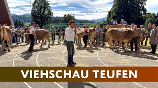 [Teil 2] Viehschau Teufen | Prämierung der Kühe in den verschiedenen Kategorien