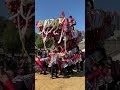 地継會　縦しゃくり　オールドスタイル 祭り 南河内だんじり祭 festival 南河内だんじり祭 祭り 縦しゃくり 地継會 大阪城