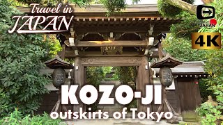 4K Travel in Japan | Kozo-ji 高蔵寺 | Small and Beautiful temple in outskirts of Tokyo | 東京・町田