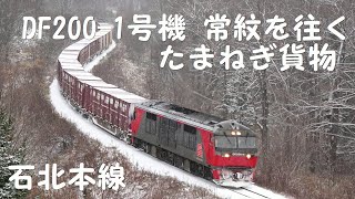 DF200 1号機 常紋を往く 石北貨物 2023.12