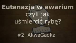 Jak zabić rybę - eutanazja w akwarystyce #2. AkwaGadka