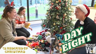 Rescue dogs choose their own Christmas present! | DAY 8: 12 RESCUES OF CHRISTMAS with Dr Scott