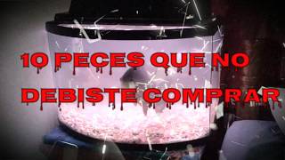 Los 10 PECES que NO DEBISTE comprar / 10 fish you should never buy