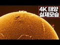 4K로 보는 태양｜탐사선이 촬영한 태양의 실제 표면 이미지 Sun #우주다큐