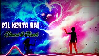 #lofi || Dil Kehta Hai #slowed_and_reverb Song | ~Only reverb #romentic_song #hindilofi #hindisongs
