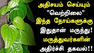 வெற்றிலை தினமும் சாப்பிட்டால் நடக்கும் அதிசயம்|Betel leaves benefits in Tamil| Vetrilai Health tips