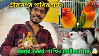 Serampore Pet Market 💥| Recent Bird Price Update | 🔥Premium Quality Sun Conure, Love Bird, Etc.🤯