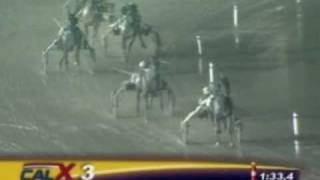 Harness Racing, Impossible Comeback! - Hitchhiker