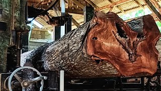 Amazing !! redwood sawmill process from start to finish
