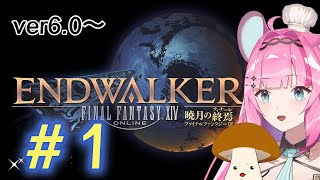 【FF14】パッチ6.0～　まったりMMO※シャイなのでコメはキノコが読み上げ