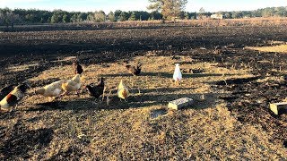 They BURNED Our Farm Up!!