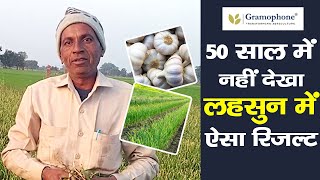 50 साल में नहीं देखा लहसुन की खेती में ऐसा रिजल्ट - ग्रामोफ़ोन किसान की कहानी |  Garlic Farming