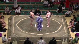 富士東-大翔鵬/2017.5.20(29)/fujiazuma-daishoho/day7 #sumo