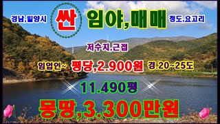 (급.매매,물번.223번) 임야,농림지역,임업용산지,11.490평 평당,2.900원 몽땅,3.300만원에 매매합니다 남동향,경사도20~25도 완만하며 저수지가 옆 에 있습니다,