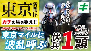 東京新聞杯 2023【予想】「ガチ」の馬を狙え！ナミュールらは強いが「あの穴馬」にチャンス到来！