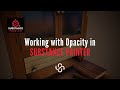 Working with Opacity in Substance Painter