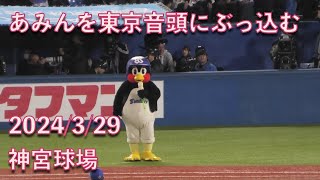 つば九郎、あみんを東京音頭にぶっ込む 2024/03/29