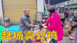 大姐今天赶场卖公鸡，刚刚到市场就卖完了，运气太好了【乡村大姐】