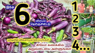 6 TIPS, மாடியில் 100% விளைச்சல் பெற 6 tips.மாடியில் கொடி மரம் போல் வளரும்.