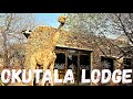 Okutala Safari Lodge, Etosha National Park in Namibia, southern Africa