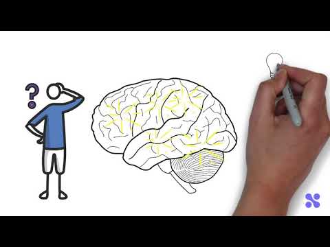 What is basic cognitive process?