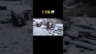 下大雪啥也干不了，和儿子去雪地找点白菜，用腊肉炒一盘美翻了【贵州小娟】#youtube發燒影片流行榜 ＃農村 ＃农村美食 #田园生活