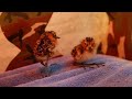 spoon billed sandpiper chicks hatched wwt