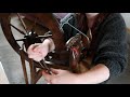 vlogtober 19th ~ spinning wheel maintenance ~ fixing mum s ashford traditional