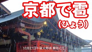 10/27(金)16:00頃 京都で雹（ひょう)が降りました。東寺にて撮影