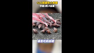 #台東 12人吃蝸牛小米粽中毒3死　到院症狀：口鼻全是分泌物 #Shorts