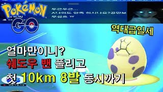 포켓몬고 ★BJ스뎅뎅 쉐도우밴 풀리고 첫 10km알 8발 동시까기 역대급이라 자신한다 포켓몬GO[Pokemon GO]