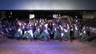 【公式】東京理科大学Yosakoiソーラン部　ドリよさ　日曜　お台場　パレード踊り納め