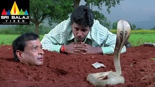 Krishna Movie MS Narayana and Rajesh Comedy | Ravi Teja, Trisha | Sri Balaji Video