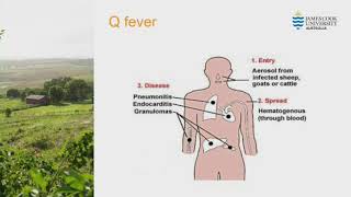 Q fever knowledge and follow-up practices of northern Australian rural general practitioners