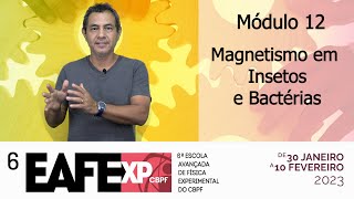 EAFExp 2023 - Módulo 12 - Magnetismo em Insetos e Bactérias