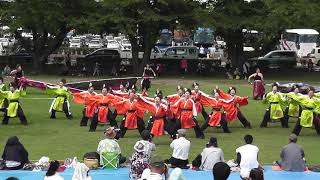 とわだyosakoi夢まつり　緑地公園　①