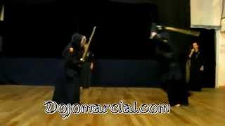 Kenjutsu - Ninten Ichi Ryu (Miyamoto Musashi Style) - Bokken / Shinai