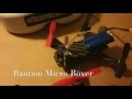 Bantam Micro Boxer | FPV Micro Freestyle Demo