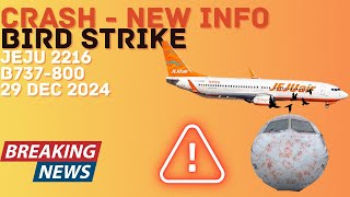 Shocking New Details on the Jeju Air Flight 2216 Crash